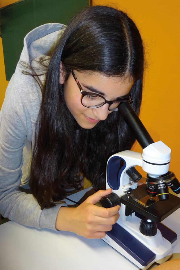 Eine Schülerin untersucht mit einem Mikroskop etwas. Dies ist ein Versuch aus dem Riedenburger Modell, das von zwei Lehrern der Mittelschule Riedenburg in Bayern entwickelt wurde.