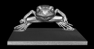 Demoversion der Software CT Computertomografie zeigt einen hochaufgelösten Frosch der LD DIDACTIC